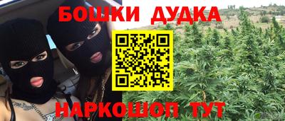 гашик Кинель