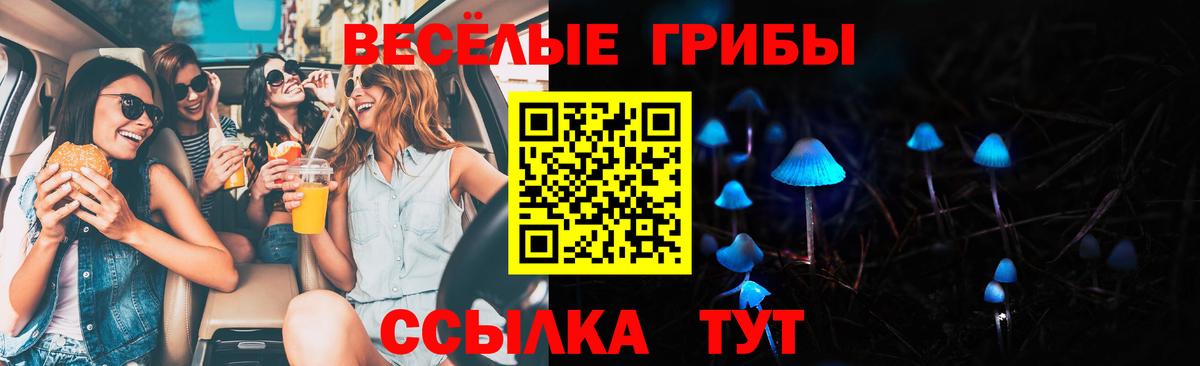 Галлюциногенные грибы мицелий  Галлюциногенные грибы Magic Shrooms  Вход с VPN  Заволжье 